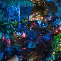 Pandora at night