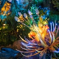 Pandora at night