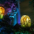 Pandora at night, yellow filter