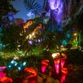 Pandora at night, yellow filter