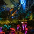 Pandora at night