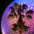 Spaceship Earth and tree