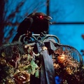 Haunted Mansion on-ride