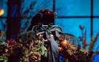 Haunted Mansion on-ride