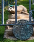 Haunted Mansion pet cemetery