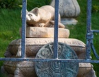 Haunted Mansion pet cemetery