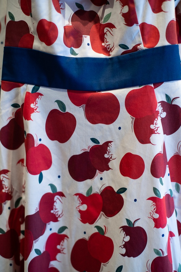 201901 WDW-492 Snow White dress.jpg