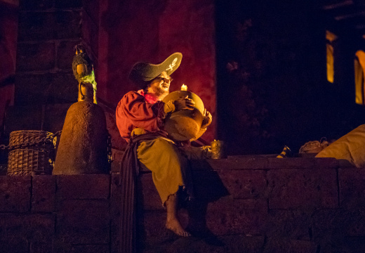 Pirates of the Caribbean on-ride