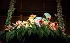 Enchanged Tiki Room birds