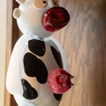 Glass cow nurse