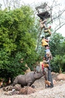 Jungle Cruise on-ride