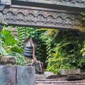 Jungle Cruise on-ride