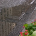 NYC2009-007
