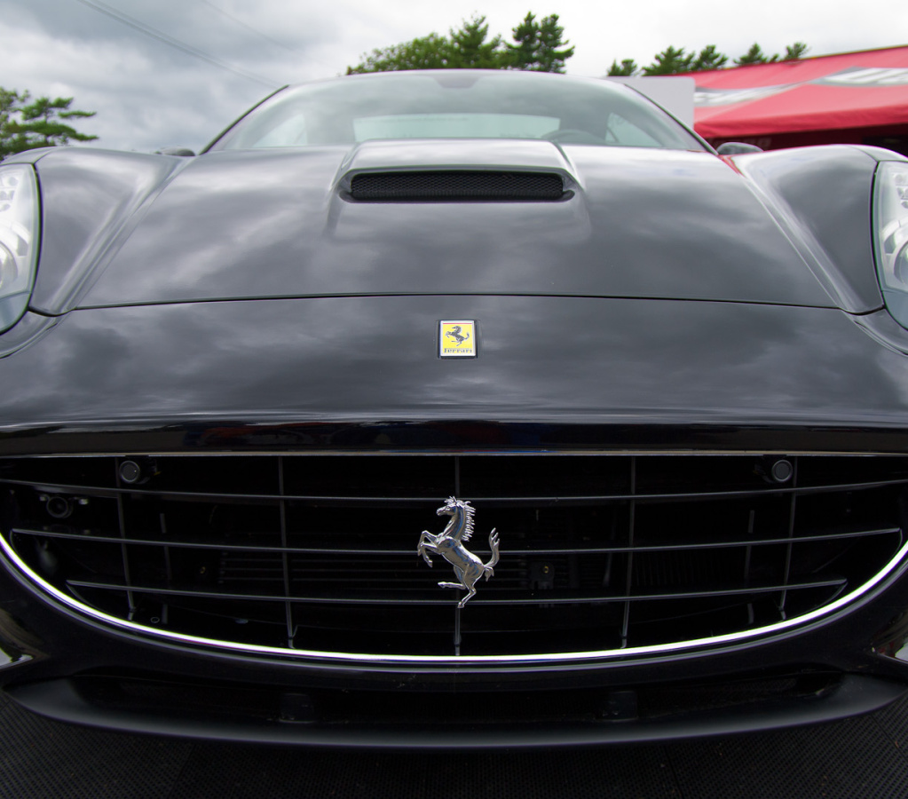 ArtOfFerrari2010-080