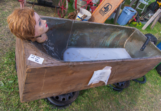 AlexanderSteamShow-100910-06