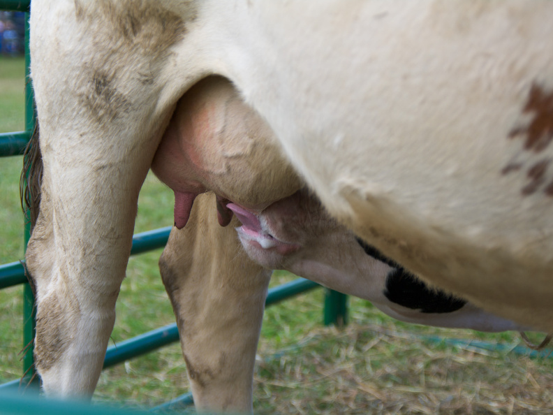 AlexanderSteamShow-100910-17