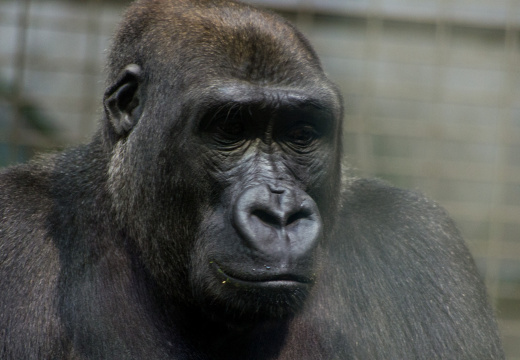 WashingtonDC201207-044