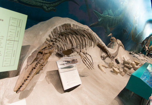 WashingtonDC201207-005