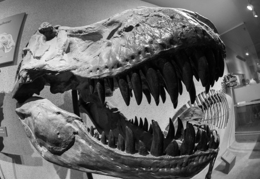 WashingtonDC201207-004