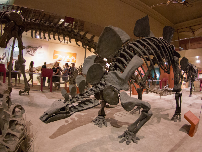 WashingtonDC201207-002