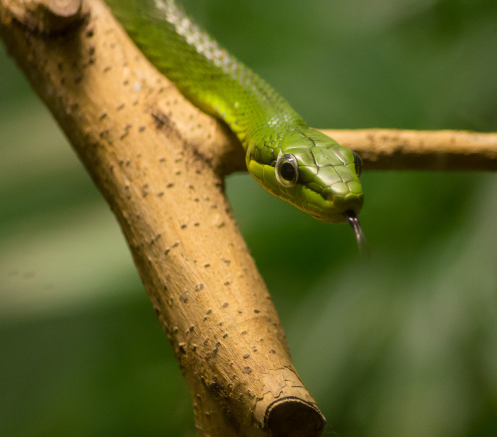 WashingtonDC201207-037