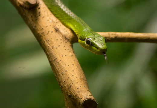 WashingtonDC201207-037