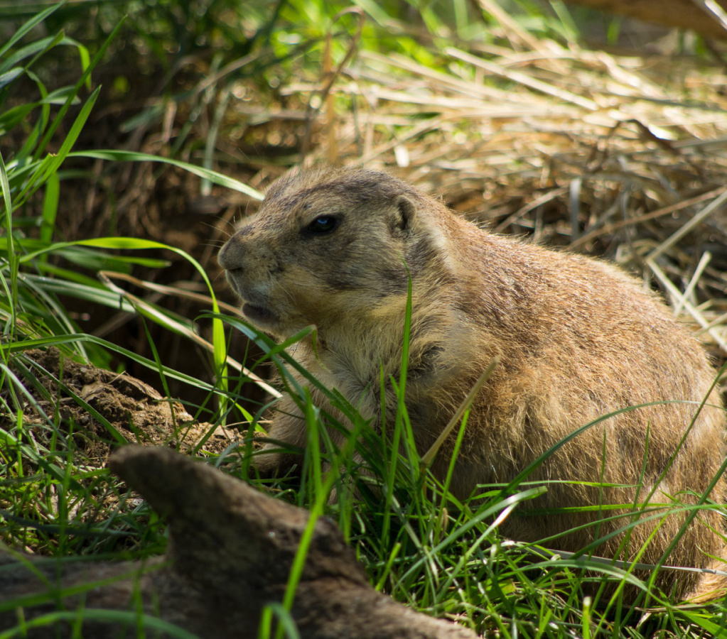 WashingtonDC201207-034