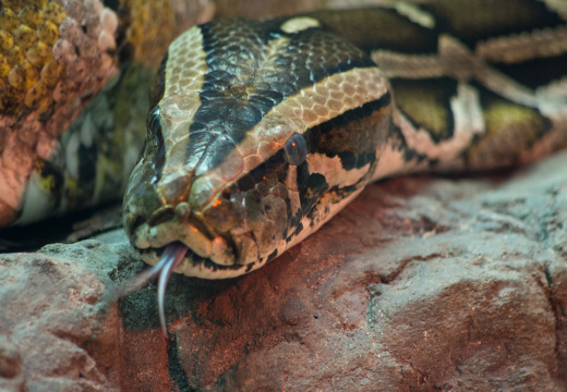 WashingtonDC201207-040