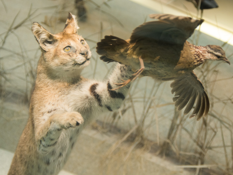 WashingtonDC201207-016