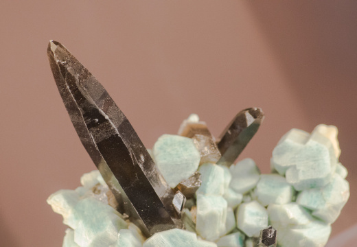 WashingtonDC201207-010