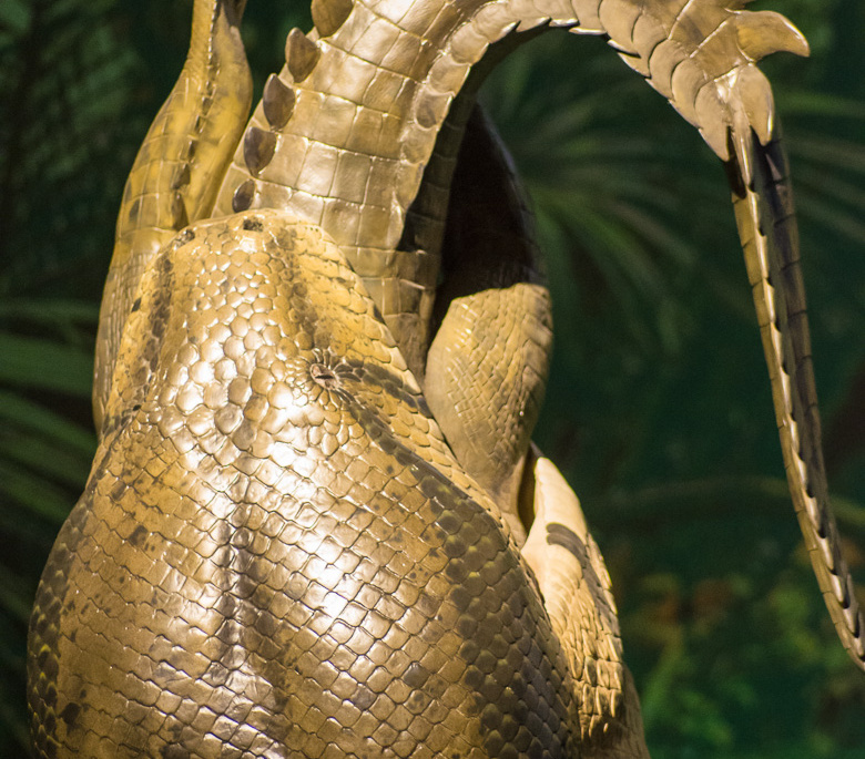 WashingtonDC201207-011