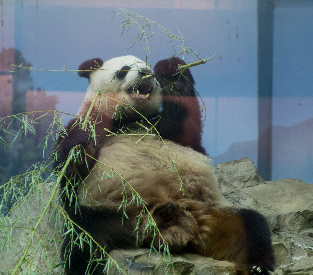 WashingtonDC201207-046