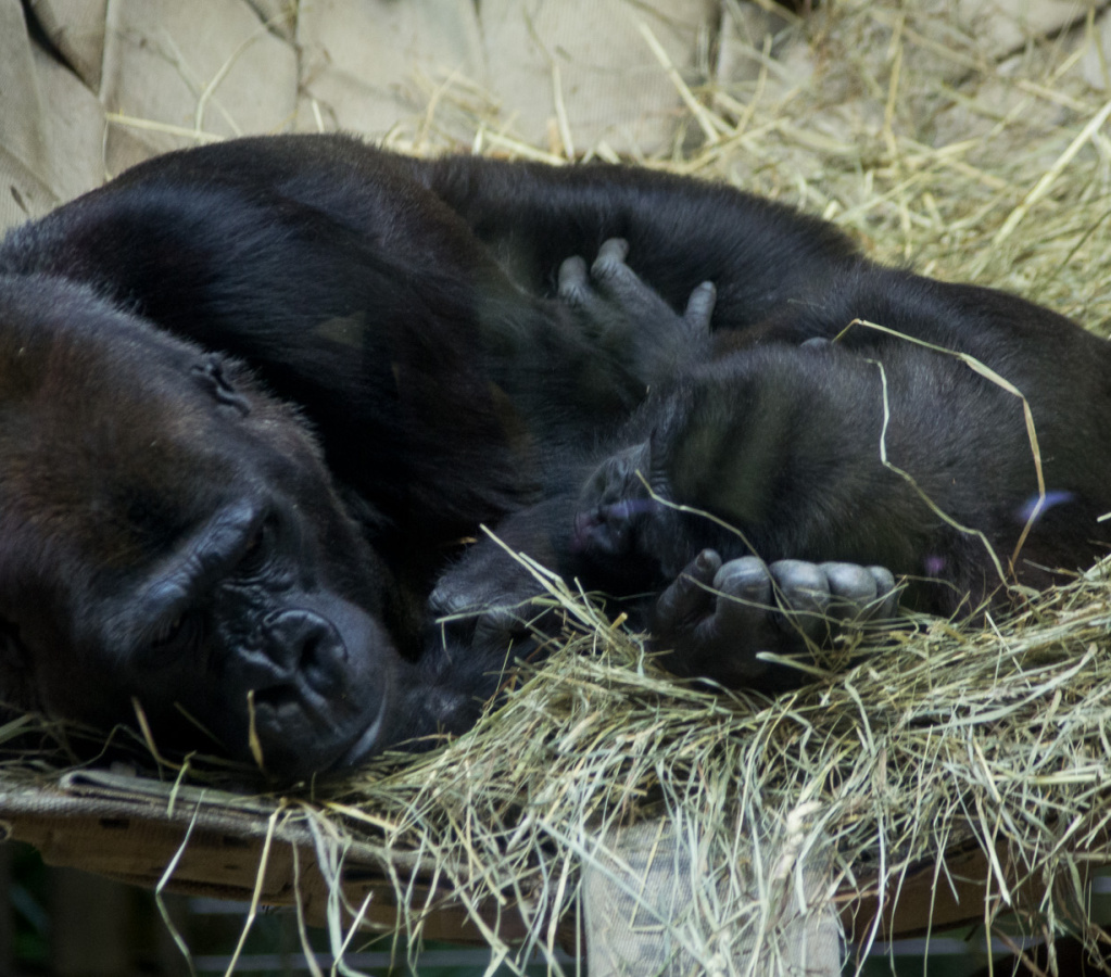 WashingtonDC201207-043