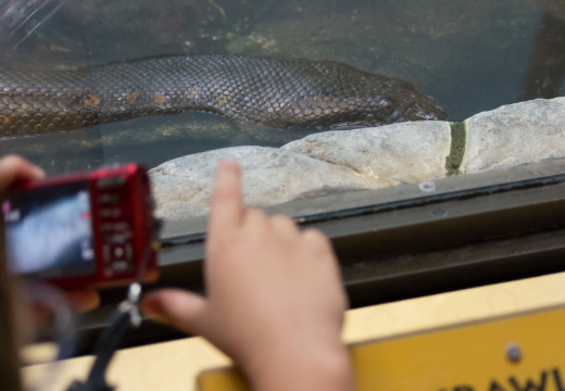 WashingtonDC201207-038