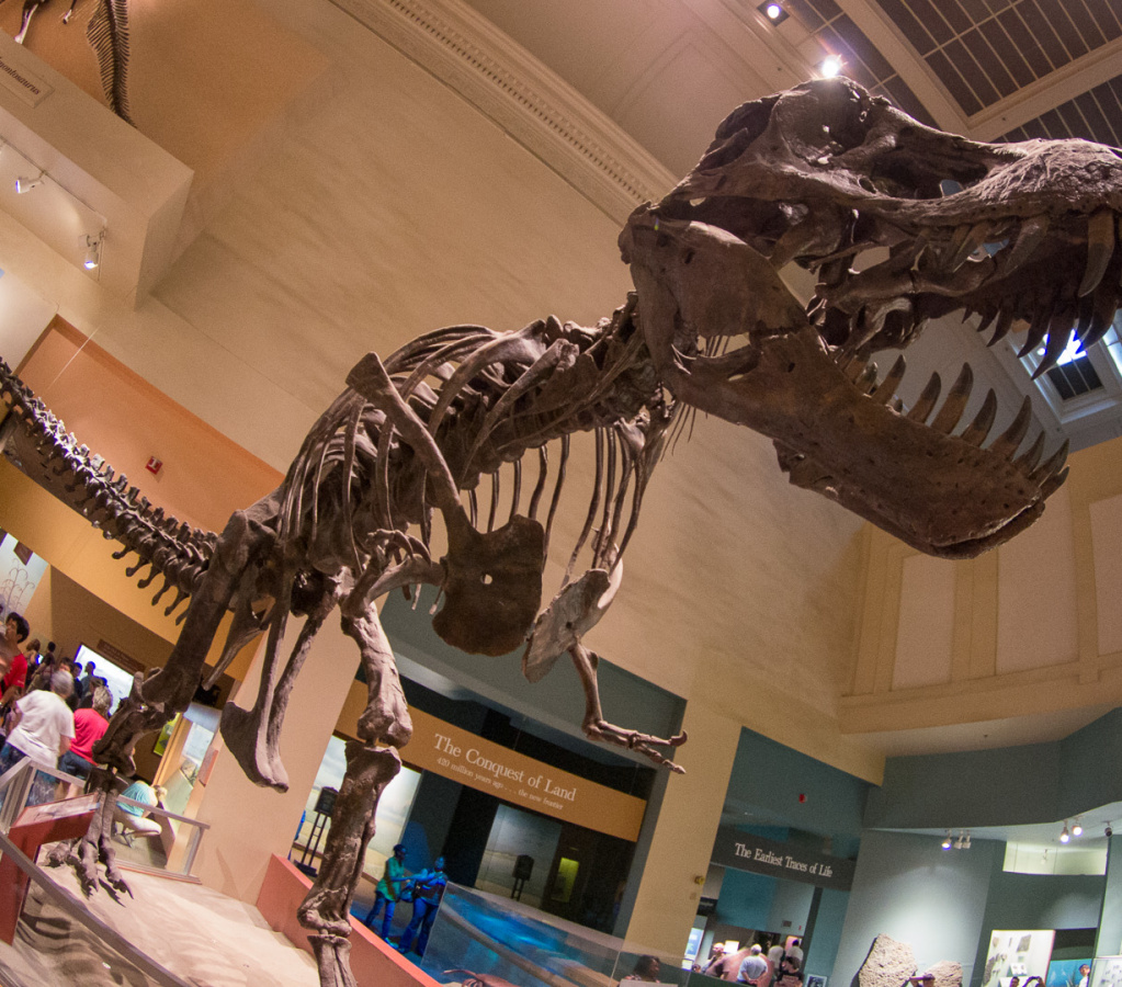 WashingtonDC201207-003