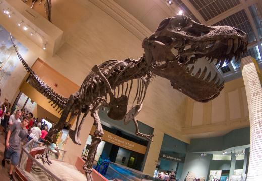 WashingtonDC201207-003