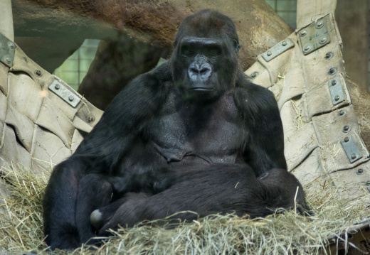 WashingtonDC201207-042