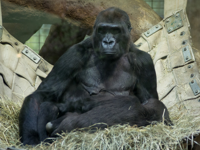 WashingtonDC201207-042