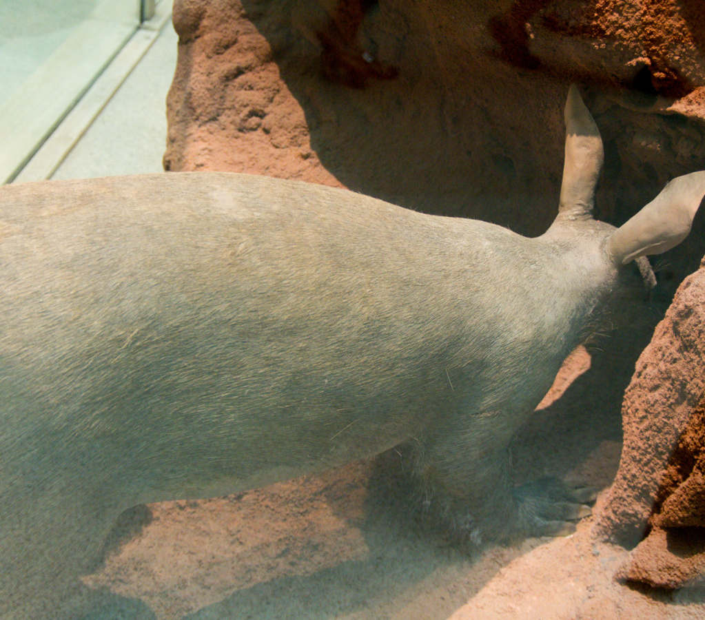 WashingtonDC201207-017