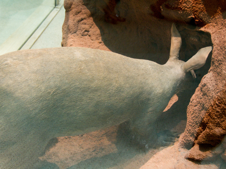 WashingtonDC201207-017