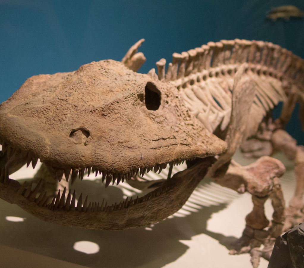 WashingtonDC201207-001