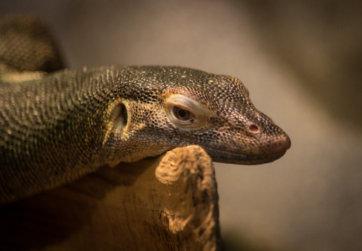 WashingtonDC201207-039