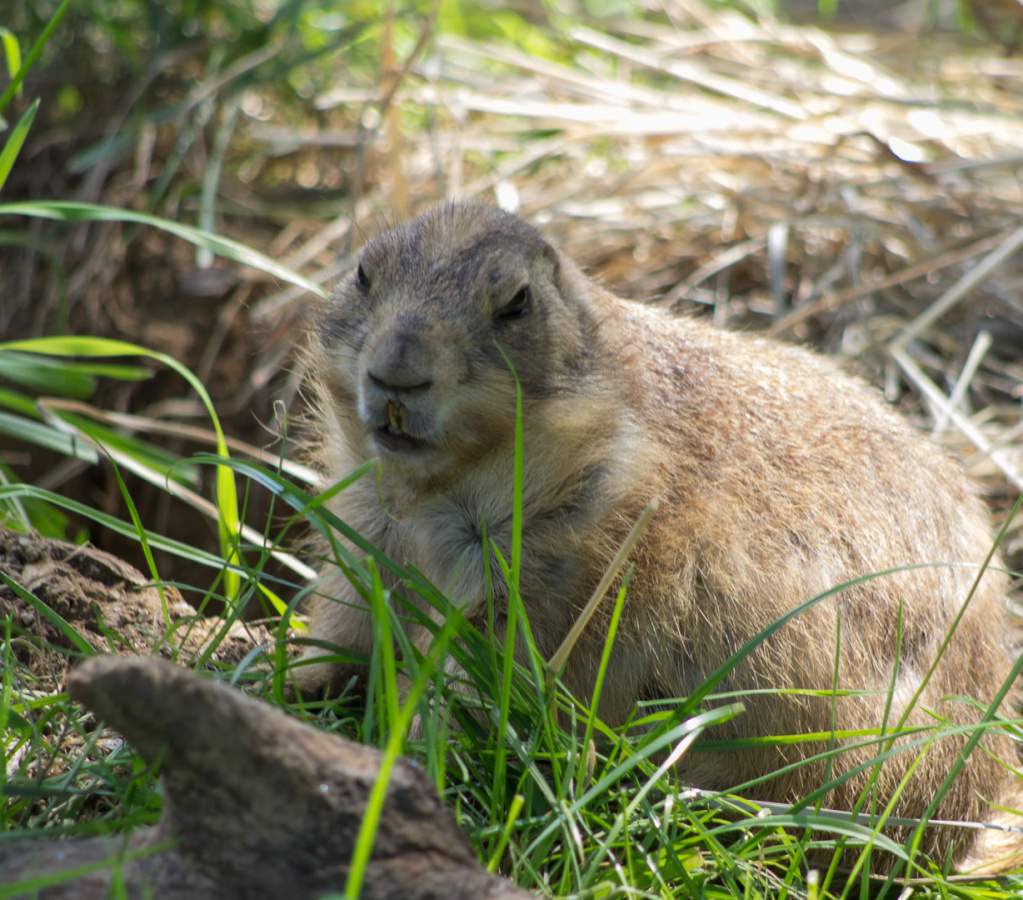 WashingtonDC201207-033
