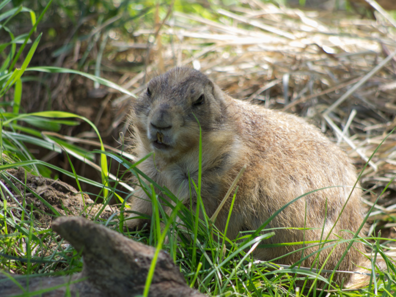 WashingtonDC201207-033