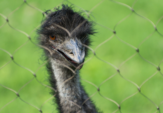WashingtonDC201207-048