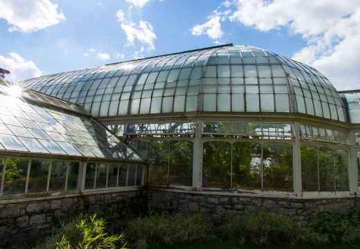 SonnenbergGardens2012-20