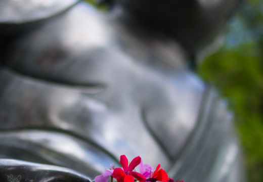 SonnenbergGardens2012-16