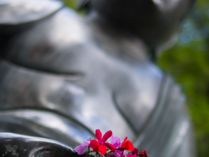 SonnenbergGardens2012-16