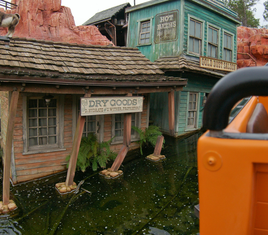 WDW2007-068