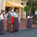 WDW2007-319